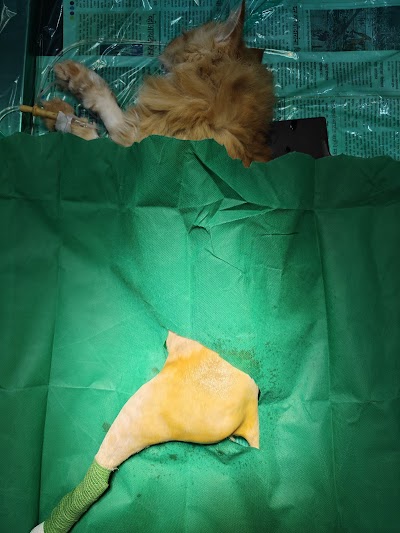 Dr Devde's PetClinic and Diagnositic